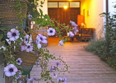 Apartment Land Garden